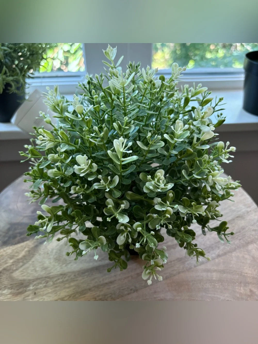 3 IKEA Artificial Plants Bundle FEJKA